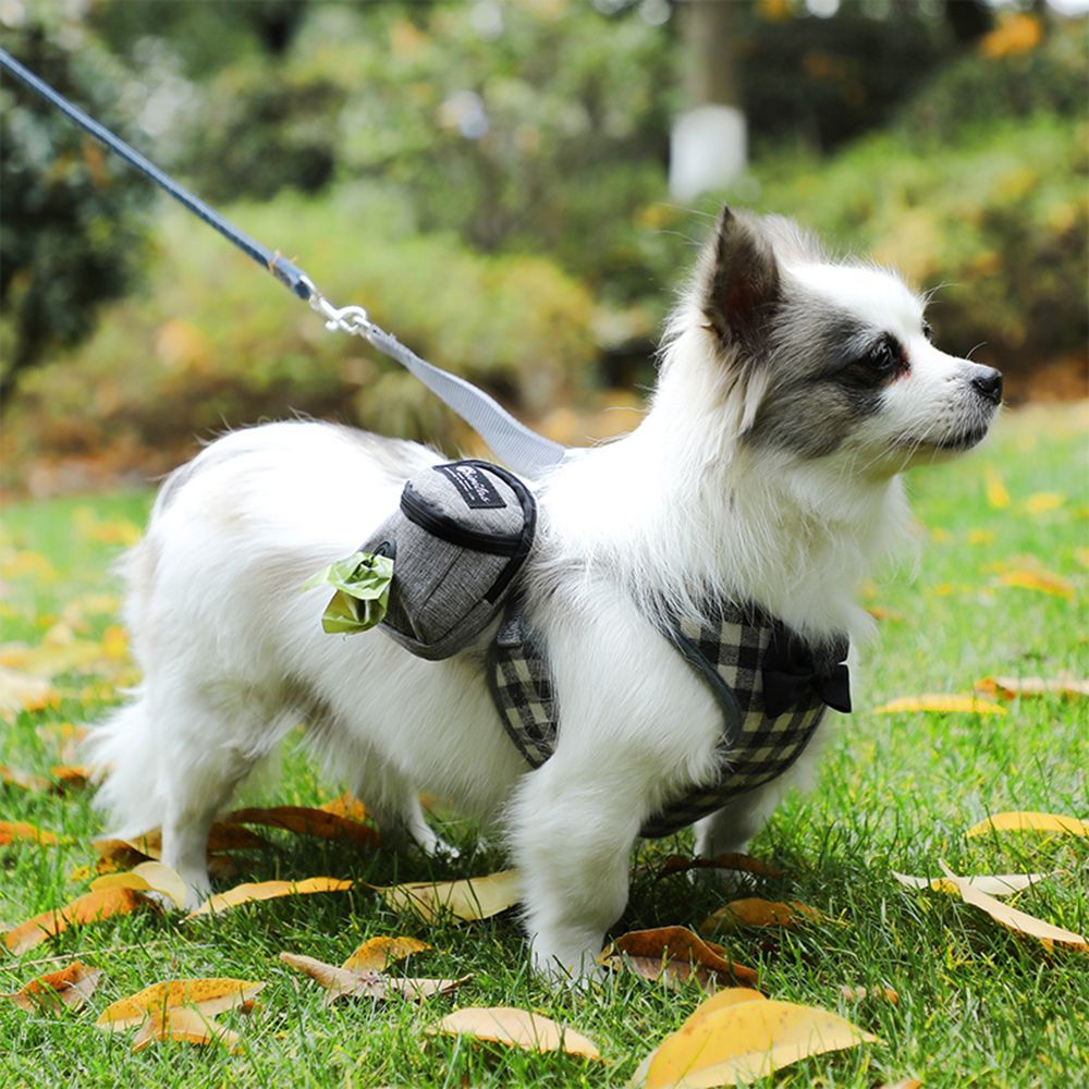 휴대용 개 훈련 치료 가방 야외 애완 동물 강아지 치료 - Pet Stroller Carrier 리뷰 및 가격