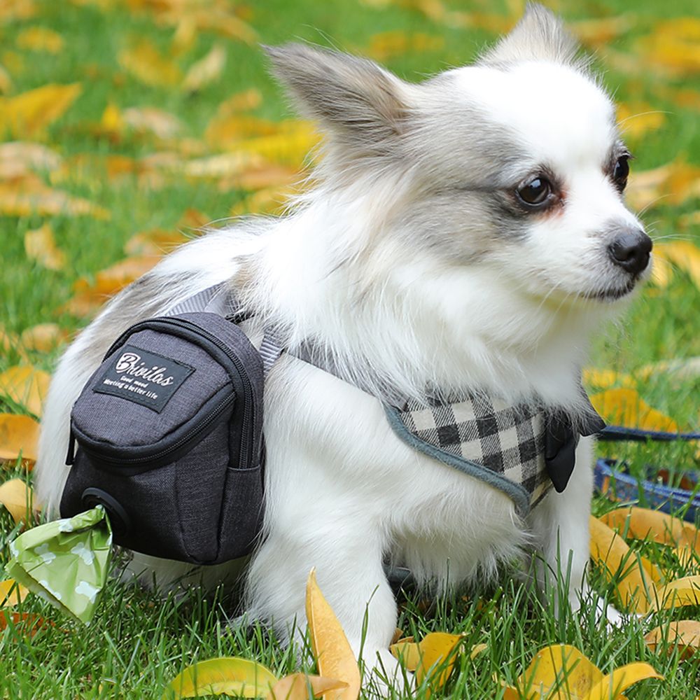 휴대용 개 훈련 치료 가방 야외 애완 동물 강아지 치료 - Pet Stroller Carrier 리뷰 및 가격