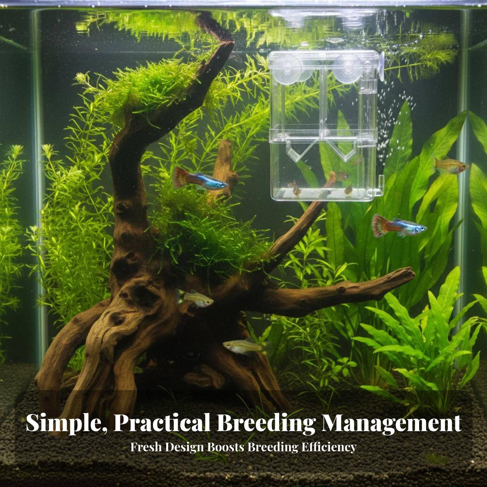 이중층 수족관 번식 탱크 새끼 물고기 격리 분리기 투명 - Aquarium Fish Tank 리뷰 및 가격