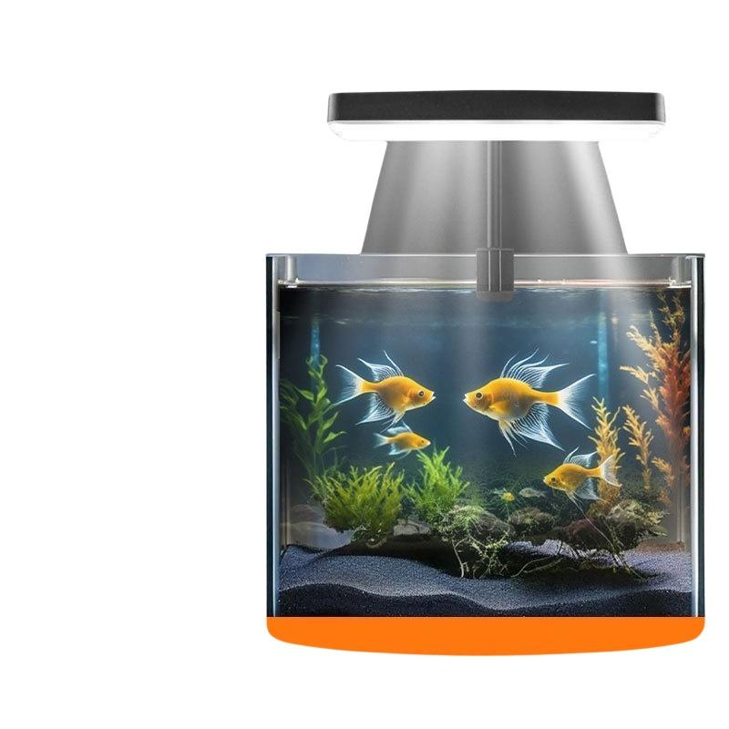 USB 수족관 클립 조명, 가정 사무실 데스크탑 어항  - Aquarium Fish Tank 리뷰 및 가격