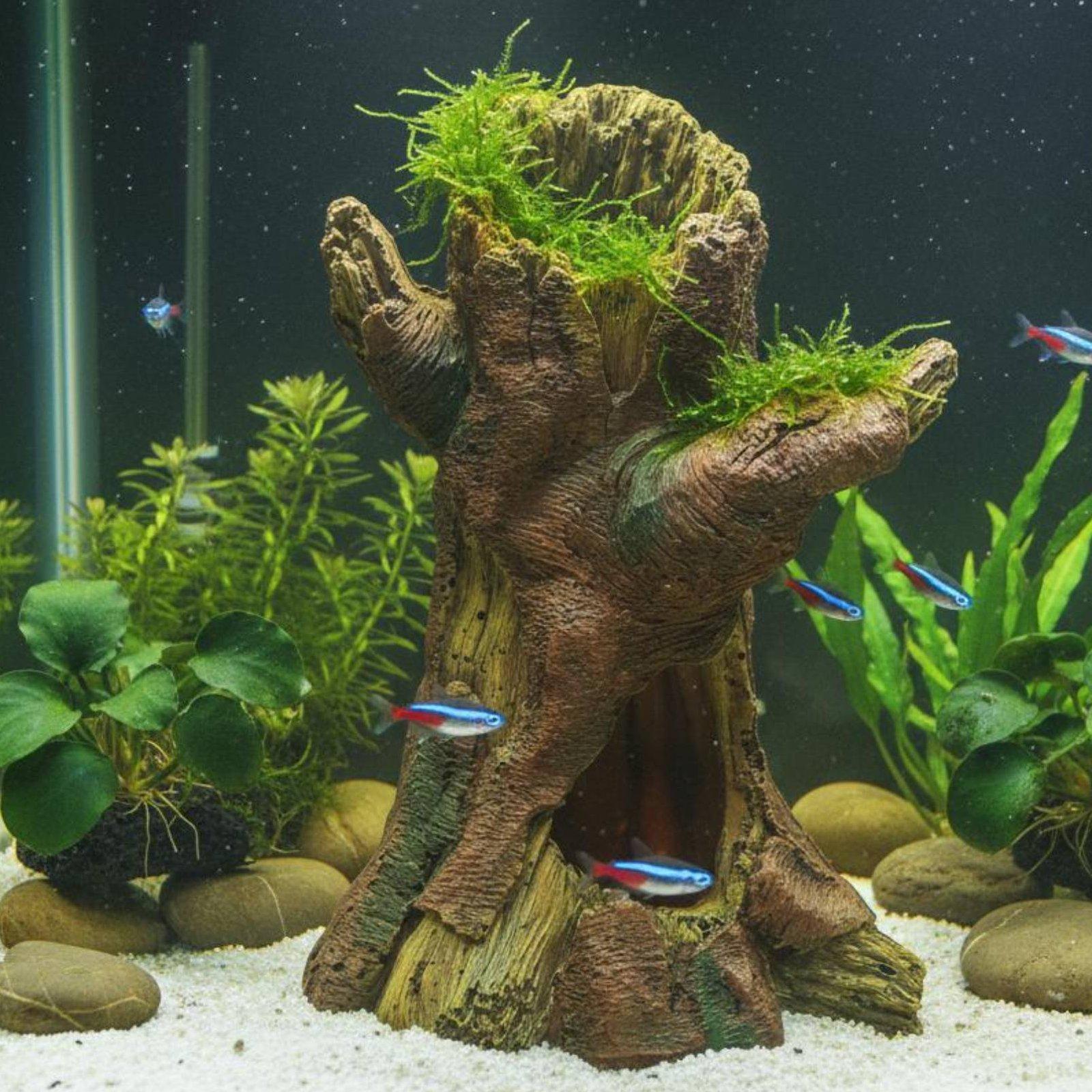 수족관 조경 장식 수족관 데코 레진 나무 줄기 쉼터 ( - Aquarium Fish Tank 리뷰 및 가격