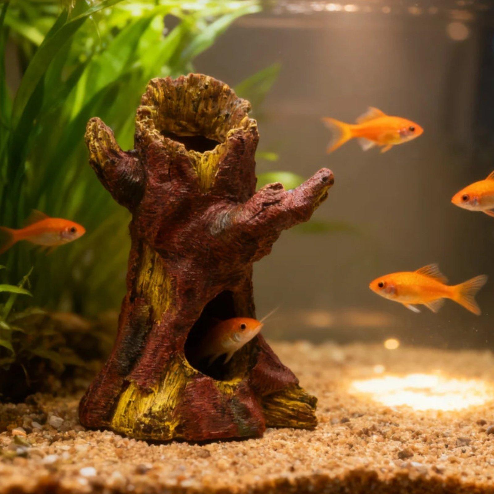 수족관 조경 장식 수족관 데코 레진 나무 줄기 쉼터 ( - Aquarium Fish Tank 리뷰 및 가격